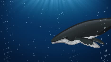 animated whale swimming, world whale day text