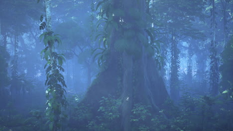 selva misteriosa con niebla y vegetación exuberante