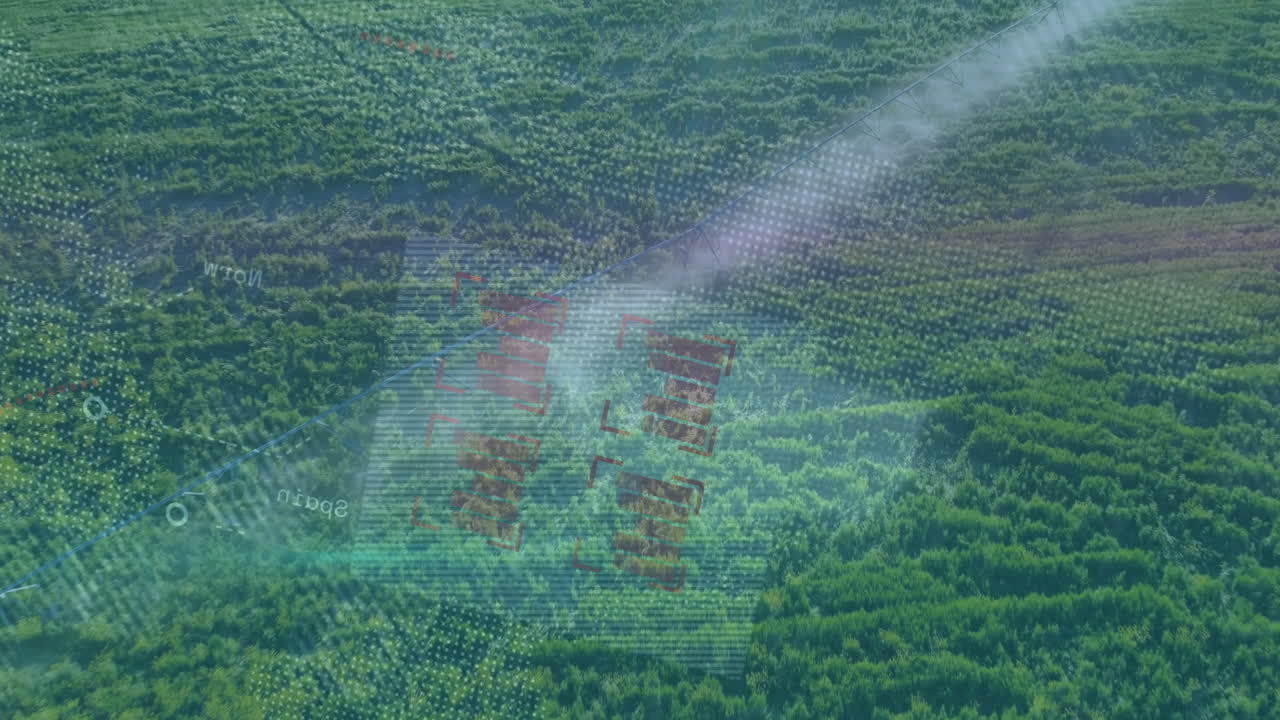Animation overlay on forest landscape showing digital data in lush greenery