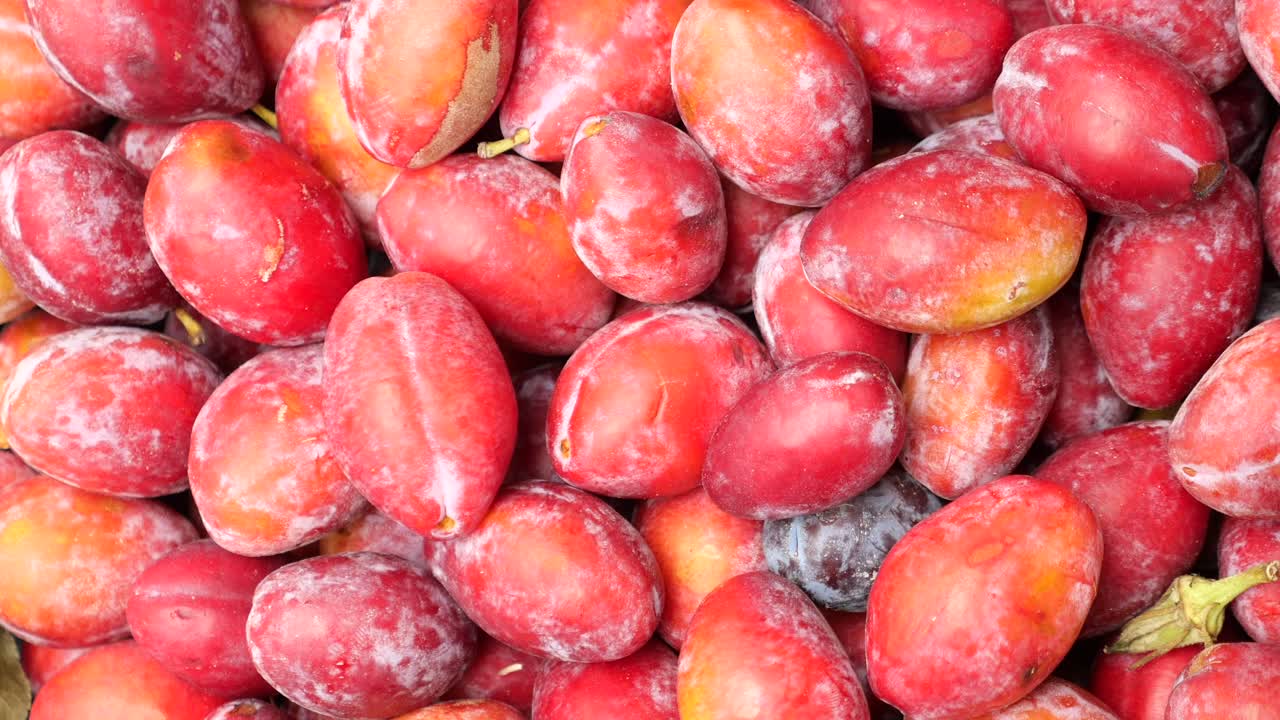 ciruelas rojas frescas