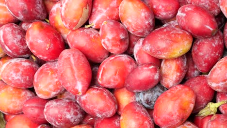 fresh red plums