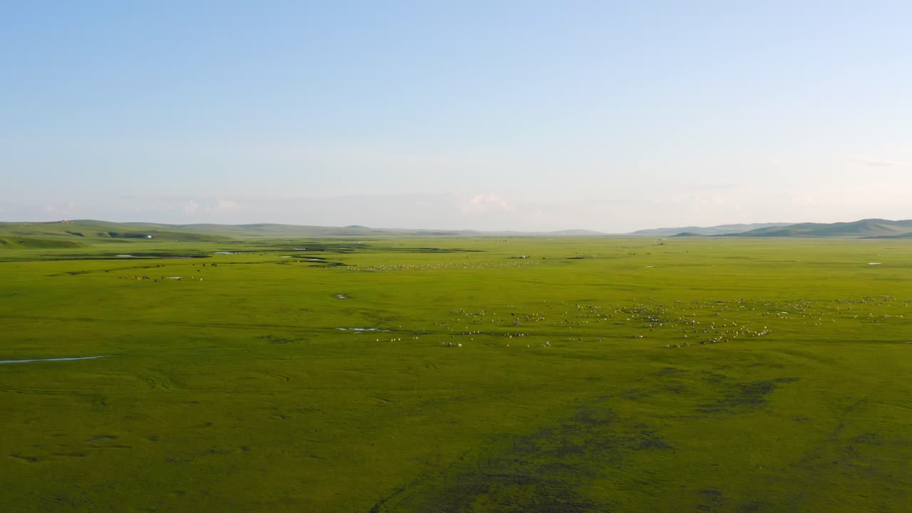 Panoramic reverse dolly above mongolian grassland, space for text