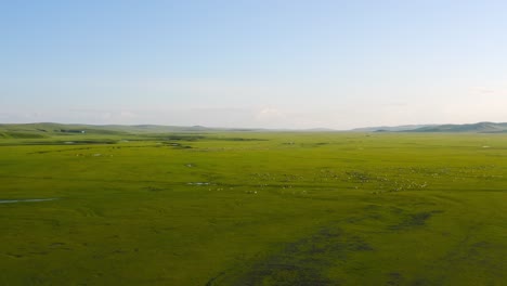 dolly reversa panorámica sobre el prado mongol, espacio para el texto