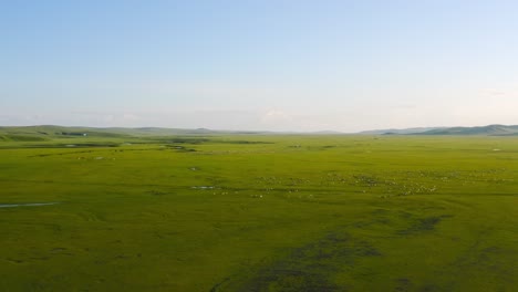 panoramic reverse dolly above mongolian grassland, space for text