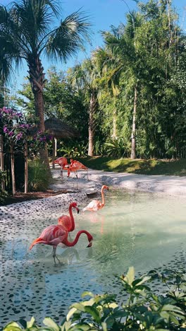 pink flamingos in a tropical paradise