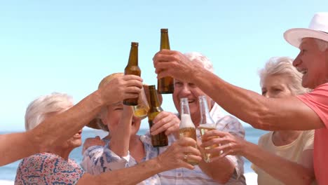 senior friends drinking beer at the beach