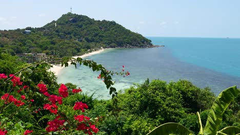 Increíble-Panorama-Sobre-La-Solitaria-Playa-De-Arena-En-Una-Isla-Tropical-Con-Flores-Coloridas