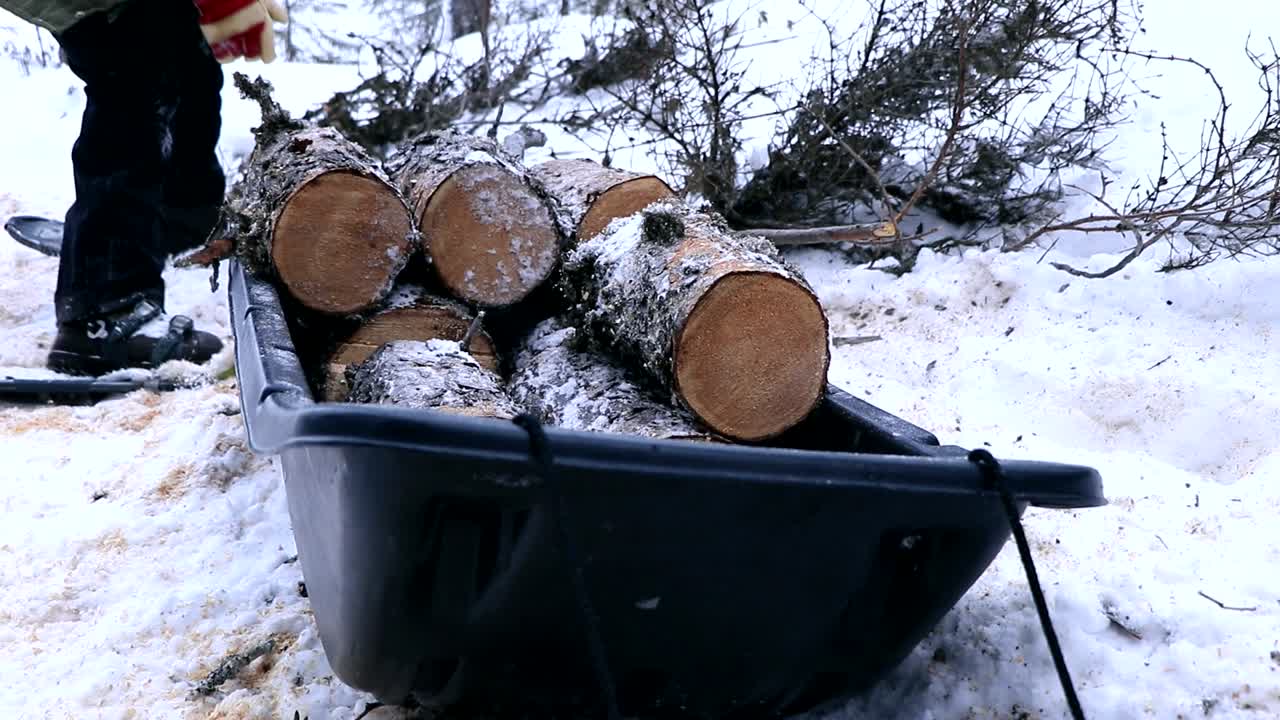 A man puts wooden logs in a sled