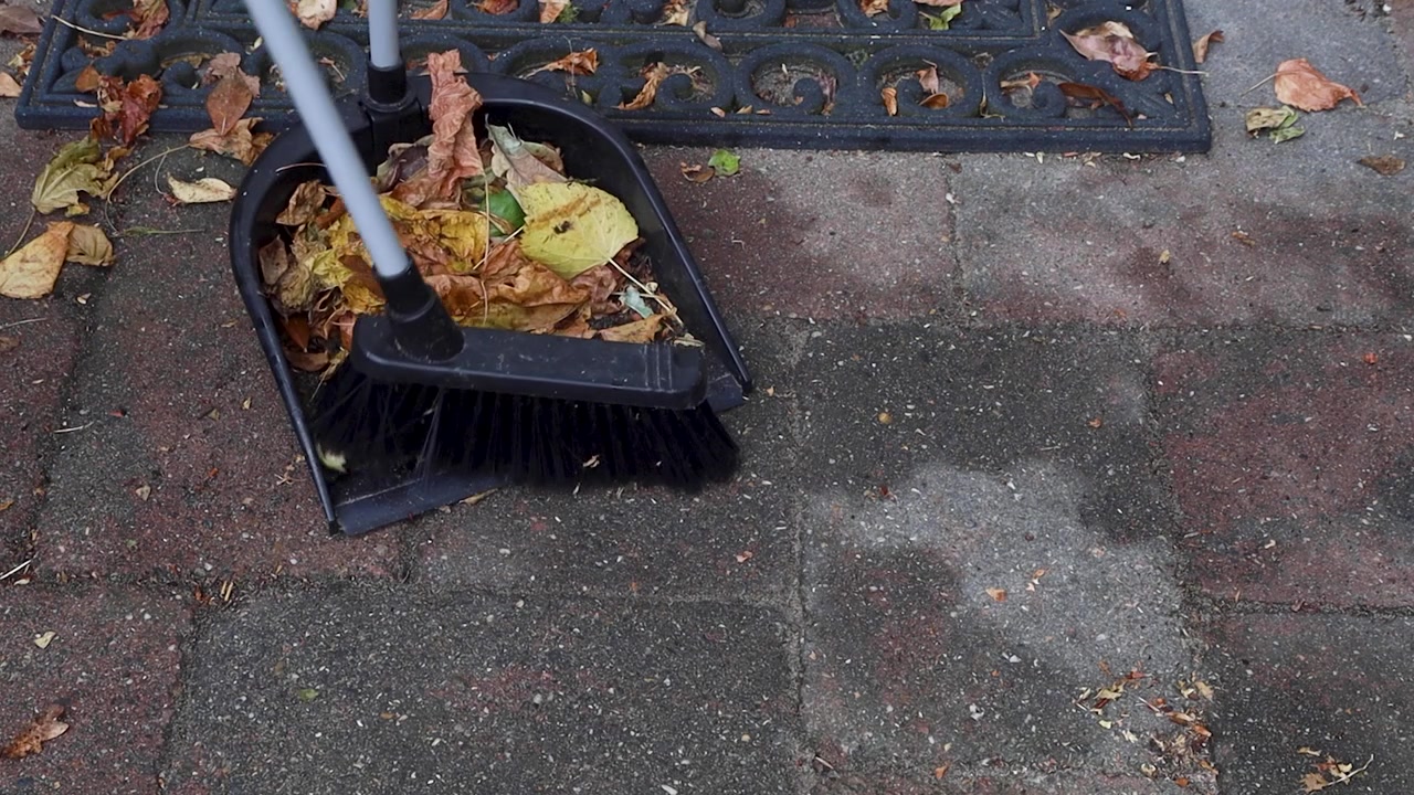 Video sweeping away the leaves from of the ground.