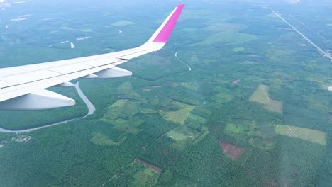 vista aérea desde la ventana del avión de un exuberante paisaje tropical