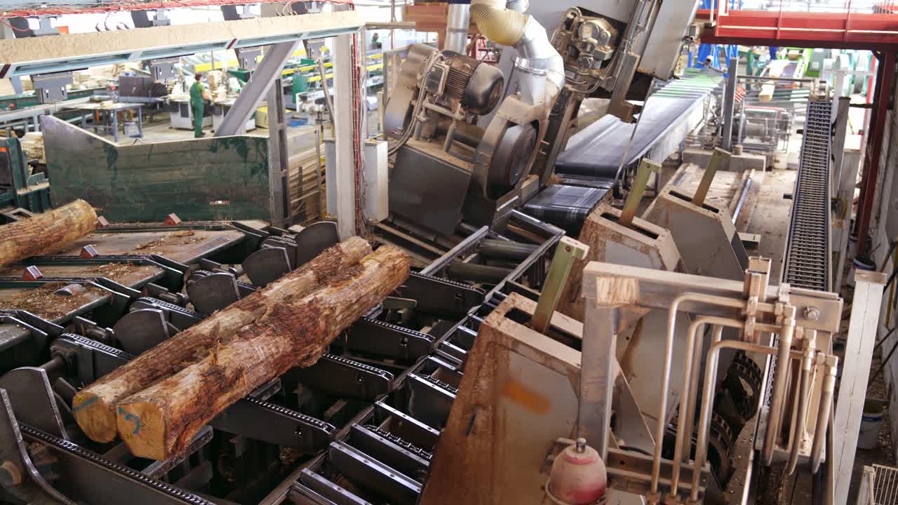 Forest product industries. Sawmill. Process of machining logs in a machine, Heavy industry equipment. Closeup. view from the top. Wood industry facilities.