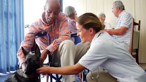 female doctor and disabled senior man stroking dog at retirement home 4k