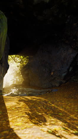 sunlight streaming through a cave entrance in a forest