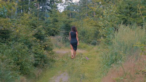 back view of a beautiful woman with long hair walking in middle of the forest in european woods - full body shot