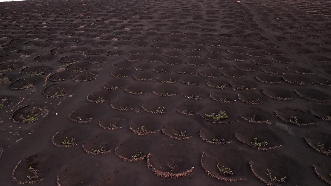 La Geria is a unique wine-growing region in Lanzarote, part of the Canary Islands, Spain, known for its striking landscape shaped by volcanic activity.