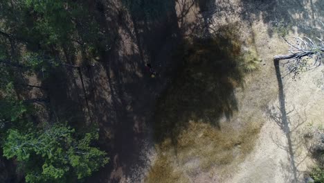 Aerial-shot-looking-down-on-two-backpackers-hiking-through-a-train-at-Troodos-Mountain