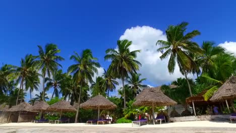 straw parasol and deckchair on a white sand beach with coconut trees in the background