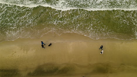 birdseye overhead of couples, husband - wife, boyfriend - girlfriend strolling along beach on cold gloomy morning