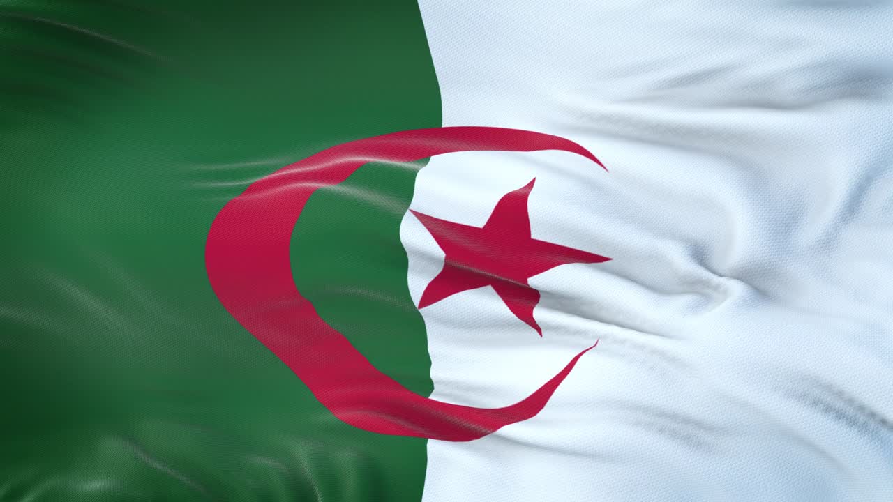 Bandiera dell'Algeria che sventola al vento con una texture del tessuto altamente dettagliata. Loop continuo.