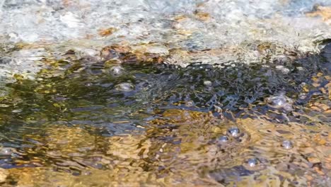 detailed view of water bubbling and flowing over submerged rocks, capturing texture and movement.