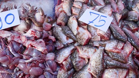 customer selecting fish at a seafood stall