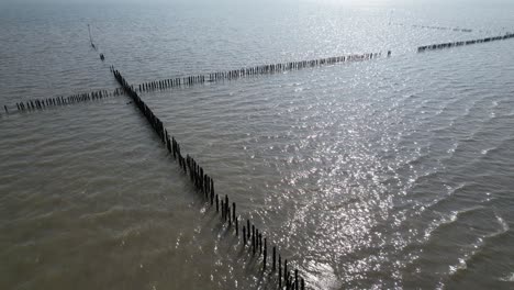 fish traps on river blackwater essex
