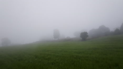 misty field landscape