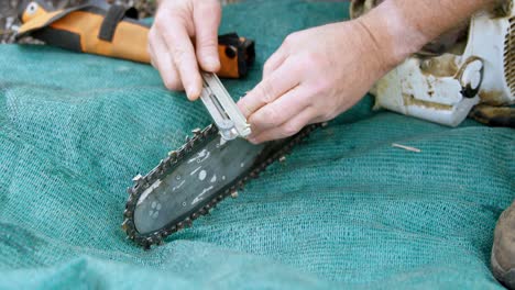 Lumberjack sharpening chainsaw in forest 4k