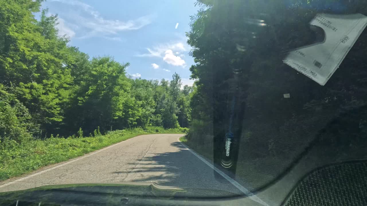 울창한 포도과 언덕을 가로질러 자동차 여행