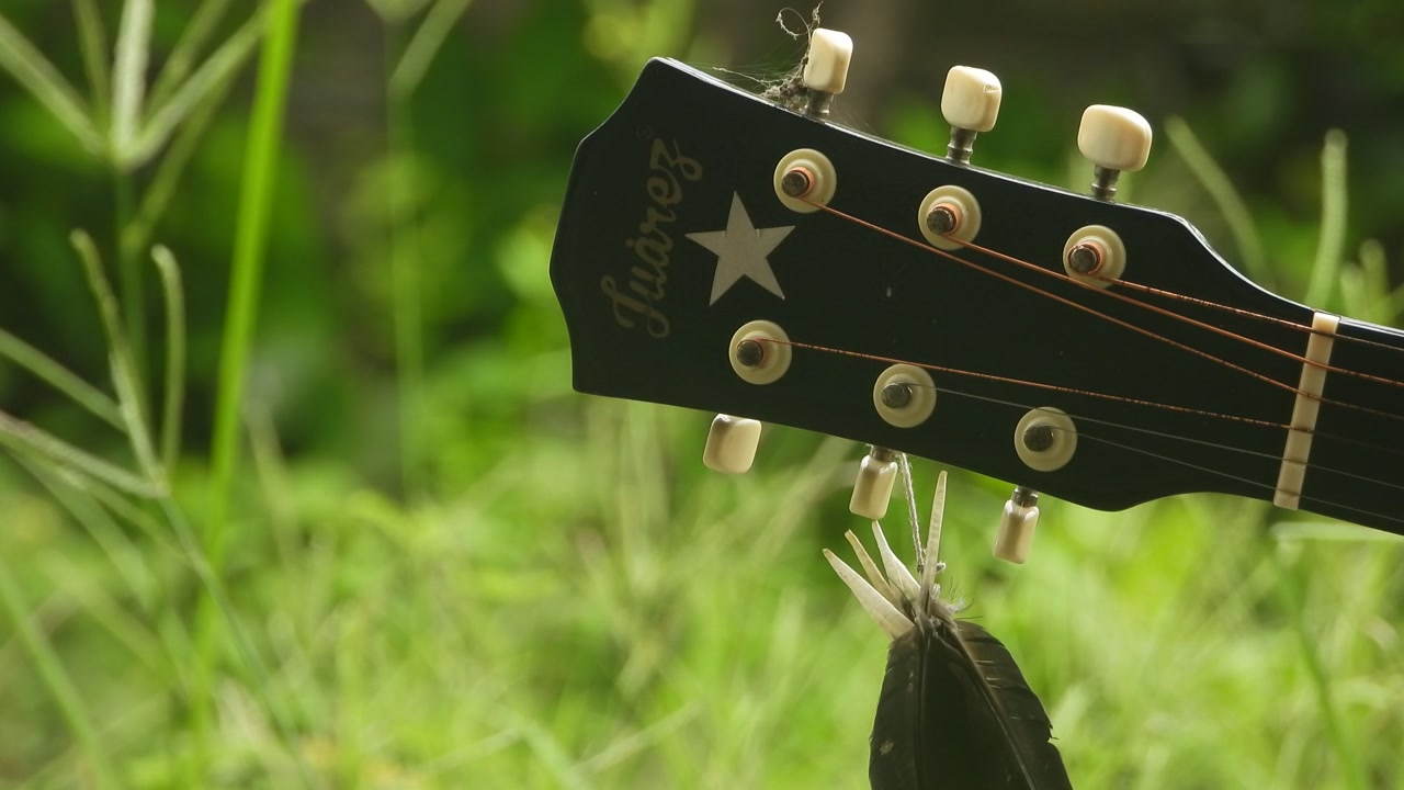 Guitar and star symbol wind .