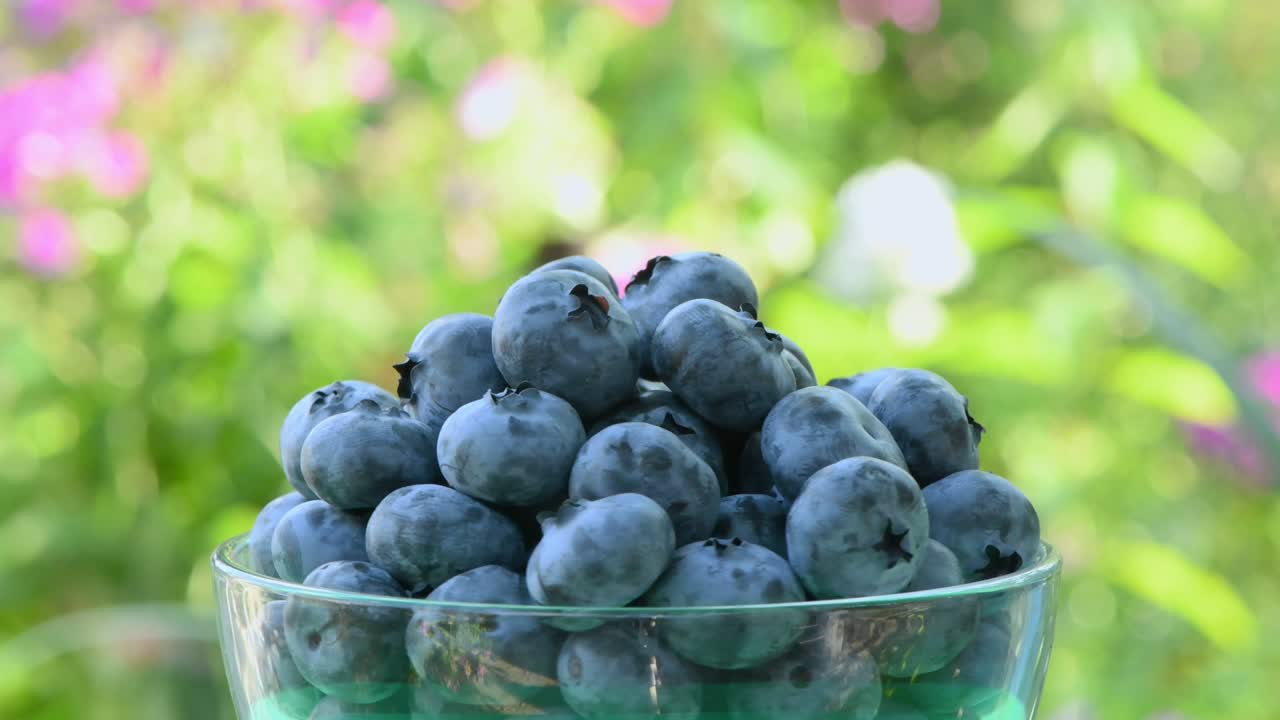 꽃이 피는 정원의 배경에 유리 그에 블루베리. 보기. 루프 모션. 회전 360.