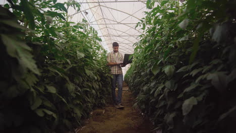 farmer using laptop in a greenhouse