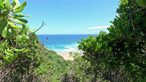 lush greenery framing a tranquil beach scene