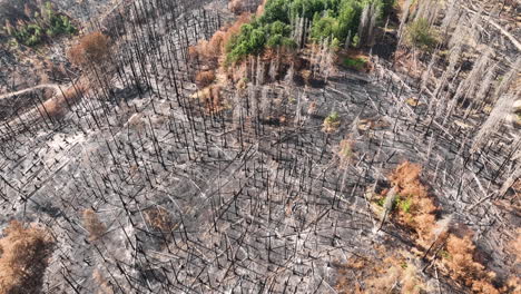 Vista-Aérea,-Bosque-Y-Tierra-Quemados,-Desastre-Natural-En-El-Paisaje-Rural,-Revelando-Disparos-De-Drones