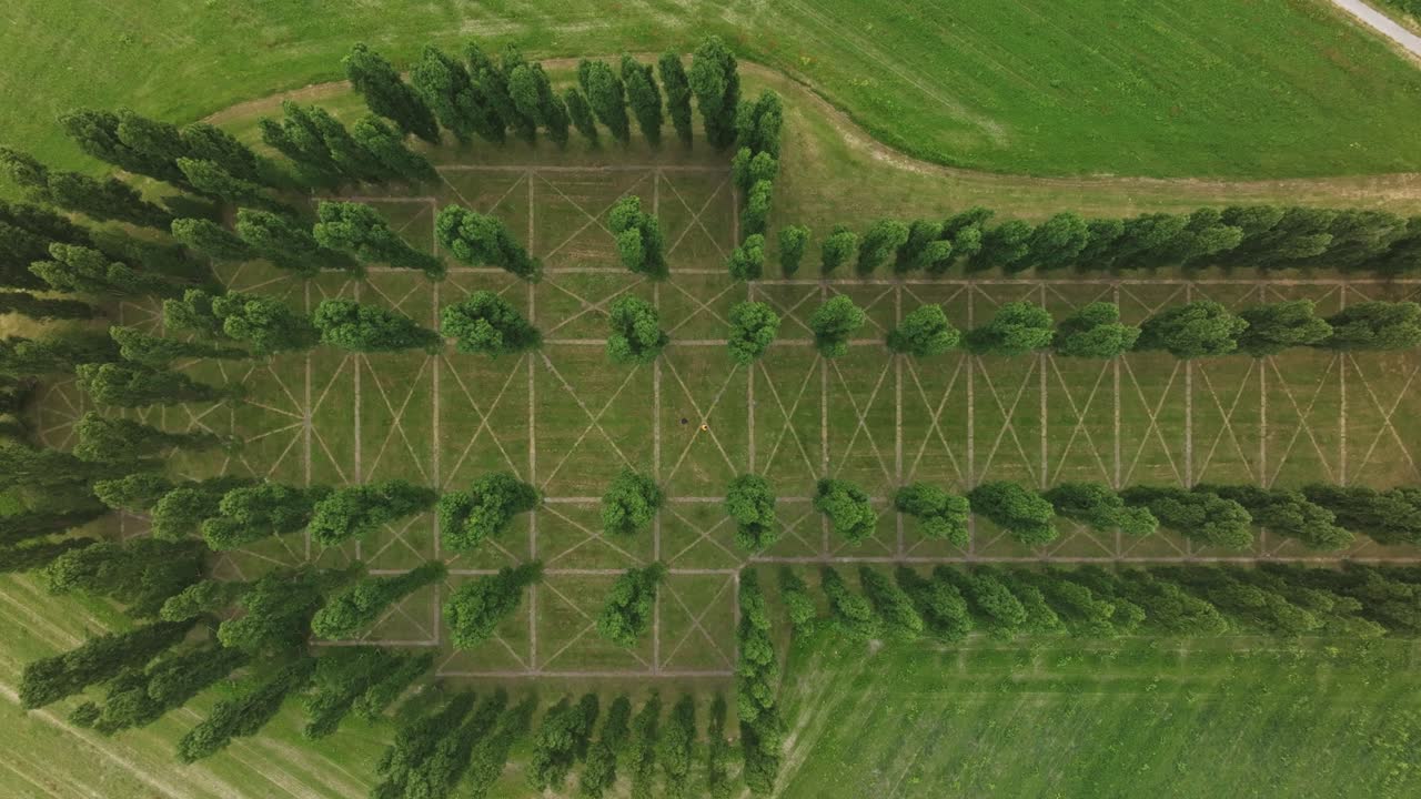 Аэрофотосъемка De Groene Kathedraal с парком, произведениями искусства, деревьями, демонстрирующая атмосферный живописный пейзаж в Нидерландах