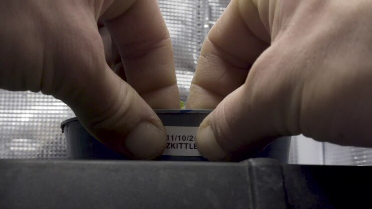 Gardener Putting Label With Date And Name Of Pant On Flower Pot - Growing Zkittlez Cannabis - fast forward shot