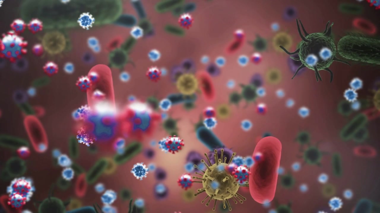 Cam pushing forward, virus cluster with RBCs and immune drifting, proteins binding showing immunity