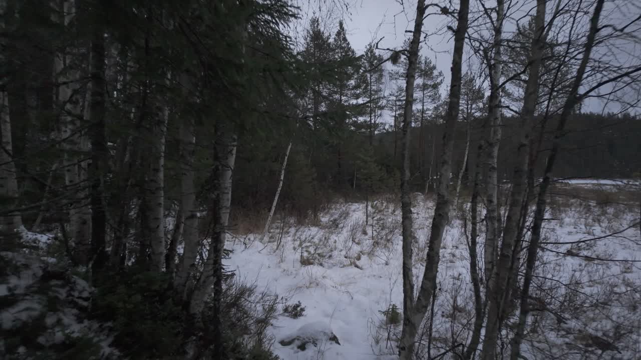 Walking Over Narrow Pathway In The Woods During Winter In Norway. POV Shot