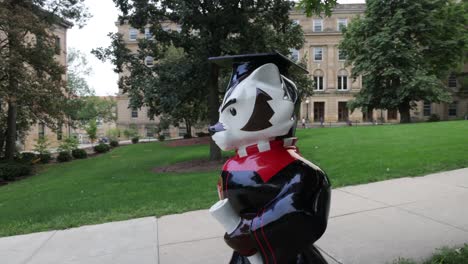 bucky badger statue holding diploma on the campus of the university of wisconsin in madison, wisconsin with gimbal video circling around