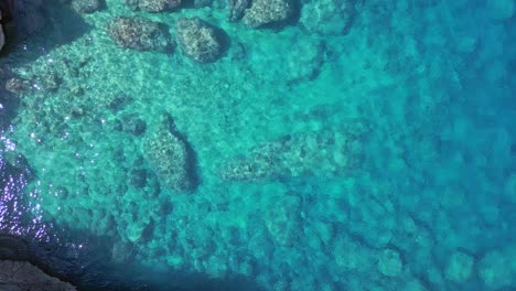 paradise blue lagoon turquoise crystal clear water