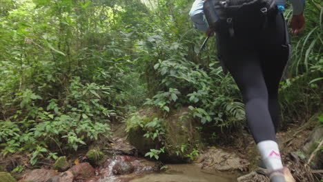 slo mo: female hiker steps across narrow stream on lush jungle hike