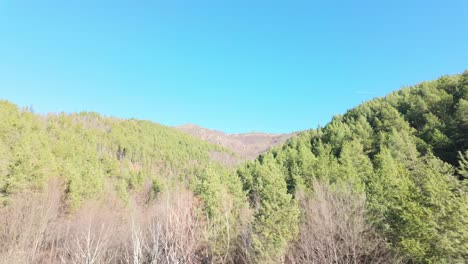 los pinos cubren las colinas en las montañas de los balcanes en un soleado día de invierno con cielos despejados