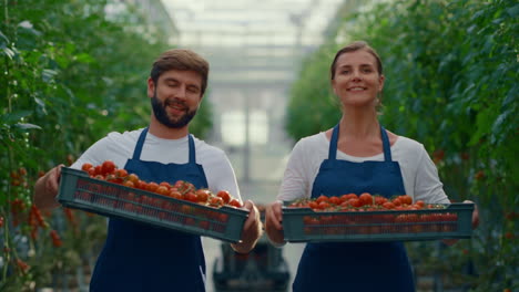 two farmers business owners showing vegetable basket tomato in plantation house.