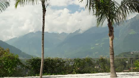 Palm-trees-in-front-of-mountains-covered-in-clouds