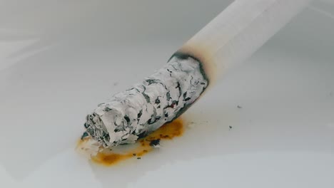 timelapse shot of a cigarette burning down in an ashtray with the ash curling up as it burns away