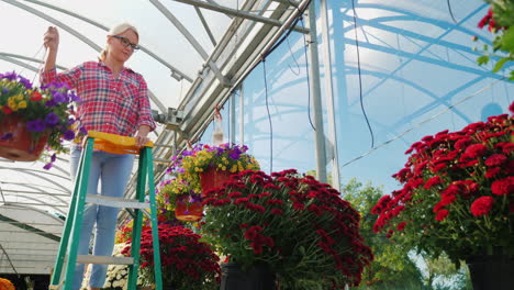 Mujer-Cuelga-Canasta-De-Flores-En-Vivero