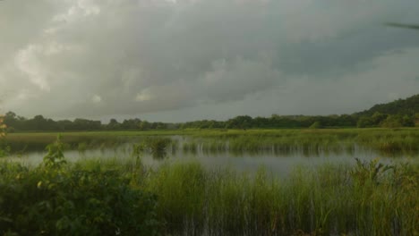 a serene shot of an indian lake, its tranquil waters reflecting the clear blue sky adorned with fluffy white clouds, while lush green plants border the picturesque scene