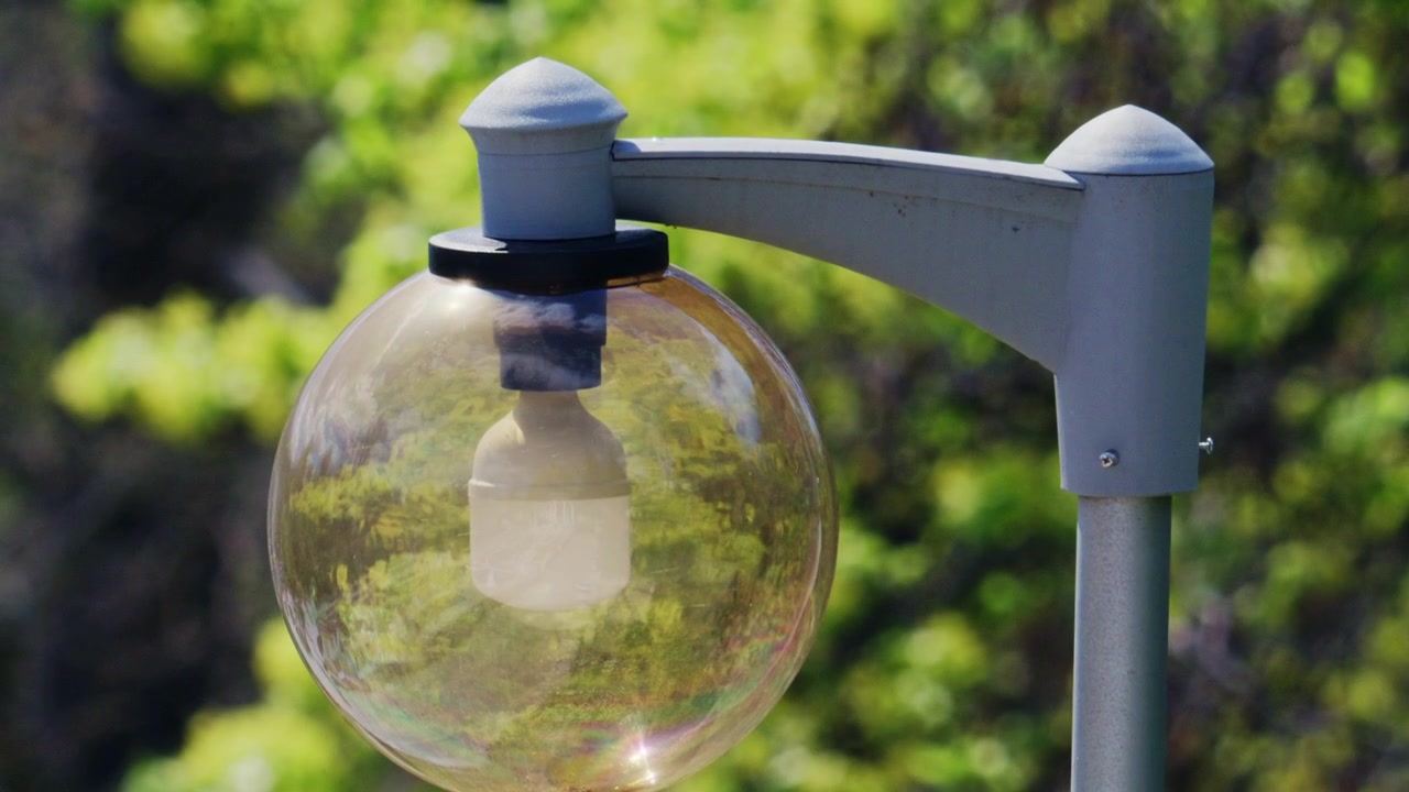 Una grande lampada da esterno con un filamento visibile è mostrata in primo piano. Il vetro riflette la vegetazione circostante e il paesaggio esterno.