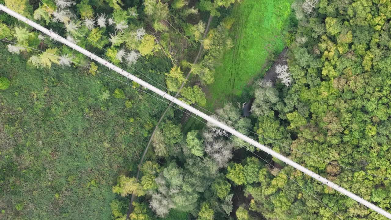 Aerial View of People Walking on a Long Suspension Bridge High Above a Lush Green Forest