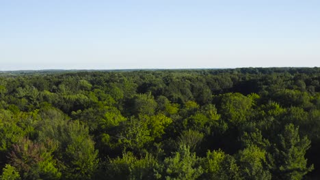 Drone-footage-of-a-lush-green-forest